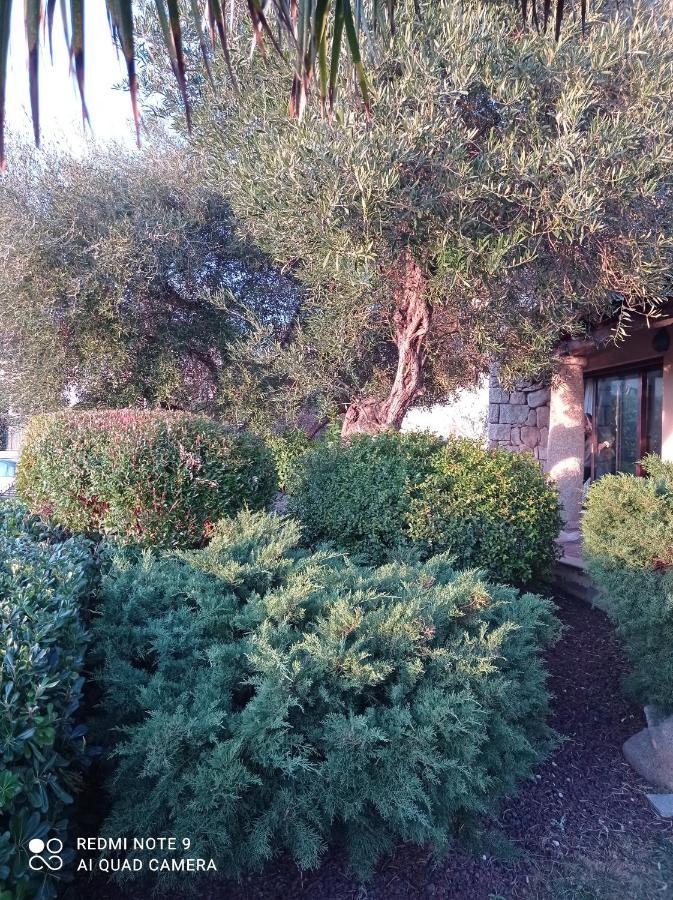 La Forma Dell'Acqua Bed & Breakfast Su Forti Dış mekan fotoğraf