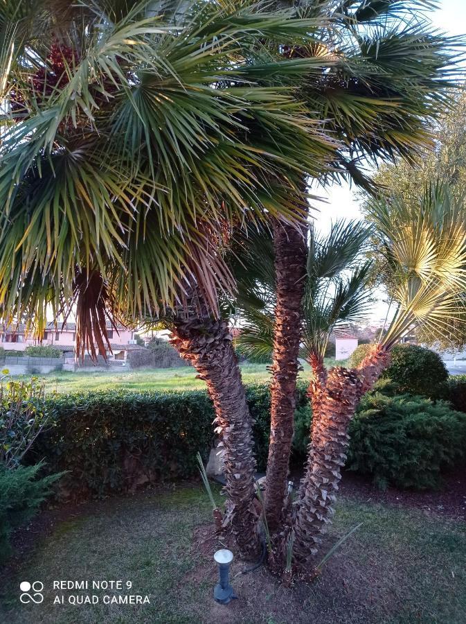 La Forma Dell'Acqua Bed & Breakfast Su Forti Dış mekan fotoğraf